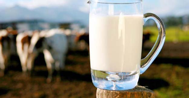 Süt fiyatı 1.15 lira olana kadar müdahaleye devam