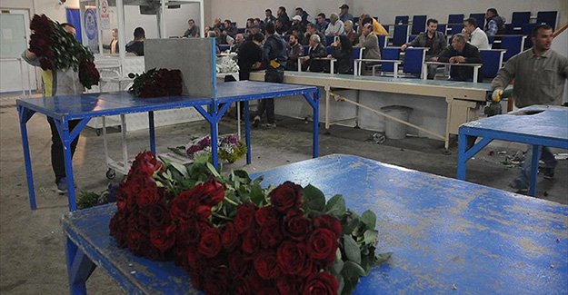 Çiçek sektörü Anneler Günü için fazla mesai yapıyor