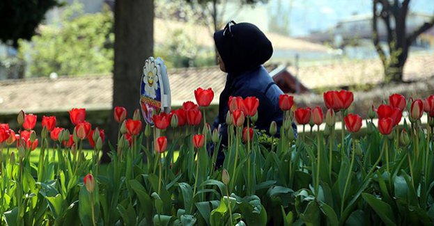 'Orta Doğulular huzuru Türkiye'de arıyor'