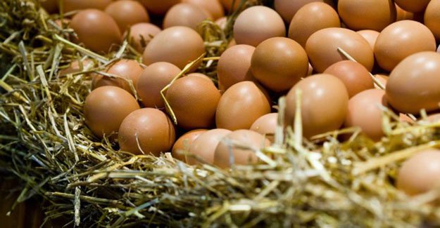Yumurtayı çamura bulayıp organik diye satıyorlar