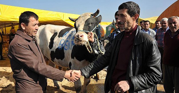 Kurban alırken nelere dikkat etmeli