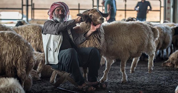 'Kurban fiyatları düşebilir'