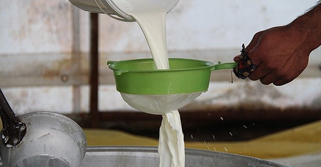 Çiğ süt arzına düzenleme