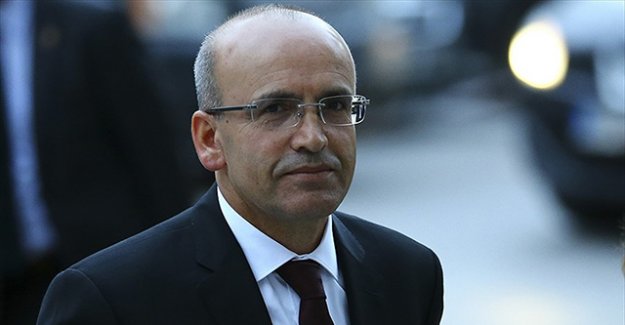 Şimşek, yasakların kaldırılması için Rusya'ya gidiyor