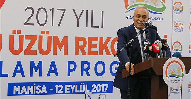 Bakan Fakıbaba çekirdeksiz kuru üzüm rekoltesini açıkladı