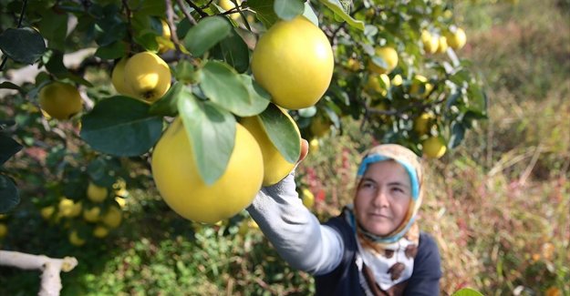 'Tarımın geleceği çiftçi kadınlarımızda'