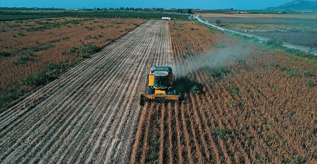 Çiftçiye 1,2 milyar liralık destek ödemesi