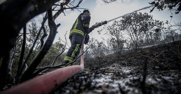 9 ilde çıkan orman yangınlarının tamamı söndürüldü