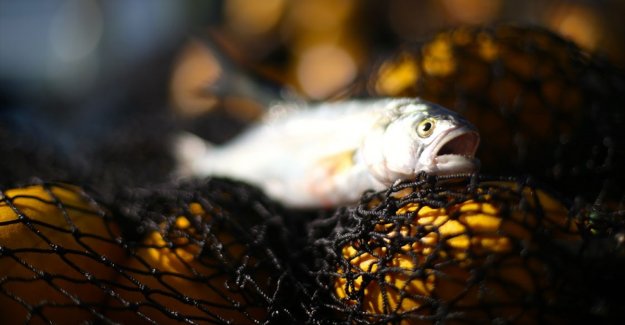 Yeni kanunla kural dışı balıkçılığa set