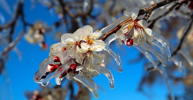 Meteorolojiden kar yağışı ve zirai don uyarısı