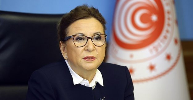 Ticaret Bakanı Pekcan: Türk Eximbank 678 milyon dolar tutarında sendikasyon kredisi temin etti