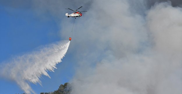 Bakan Pakdemirli'den bugün çıkan orman yangınlarına ilişkin açıklama