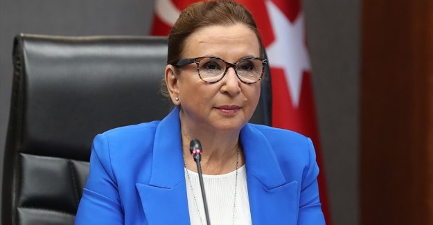 Ticaret Bakanı Pekcan: İkinci el taşıt ticareti yapan işletmelerin 31 Ağustos'a kadar yetki belgesini alması gerekiyor