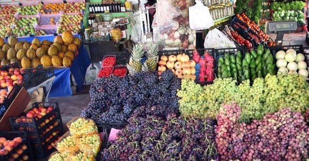 Batı Akdeniz'den yaş sebze meyve ihracatı yüzde 26 arttı