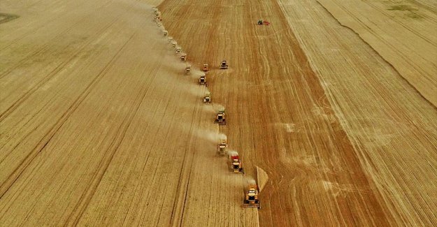 Buğday, arpa ve mısır ithalatında gümrük vergisi geçici olarak sıfırlandı