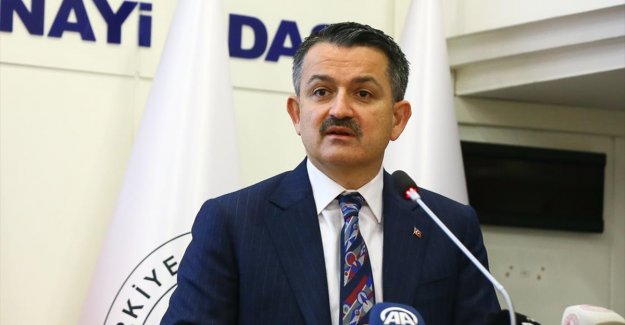 Bakan Pakdemirli: İzmir'de kimse siyaset yapmadı