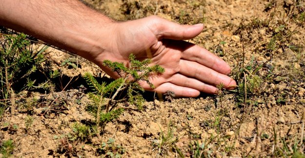 Türkiye'nin "Biyolojik Çeşitlilik Haritası" oluşturuldu