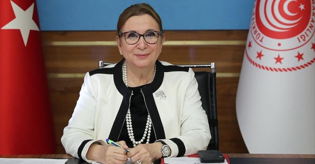 Bakan Pekcan: Hem Türkiye hem de Birleşik Krallık’ın kazanacağı yepyeni bir dönem başlıyor