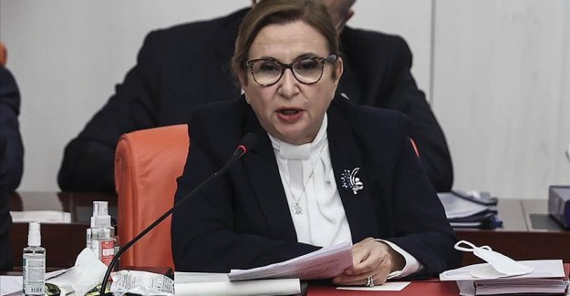 Ticaret Bakanı Pekcan: Esnaf ve sanatkarlarımıza sağlanan destekler etkinlikle sürecektir