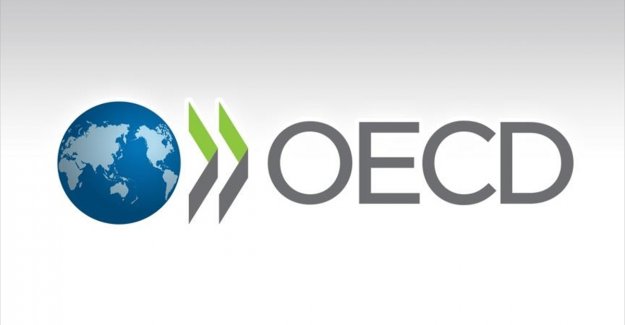 OECD, Türkiye ekonomisine ilişkin 2020 tahminini yukarı yönlü revize etti