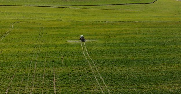 Tarım ÜFE şubatta aylık bazda yüzde 2,61 arttı