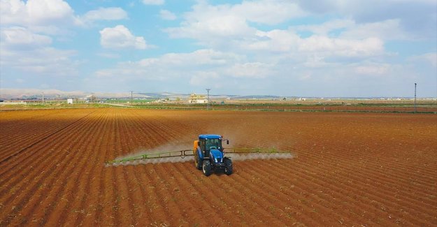 Şanlıurfa'da pamuk tohumları toprakla buluşuyor