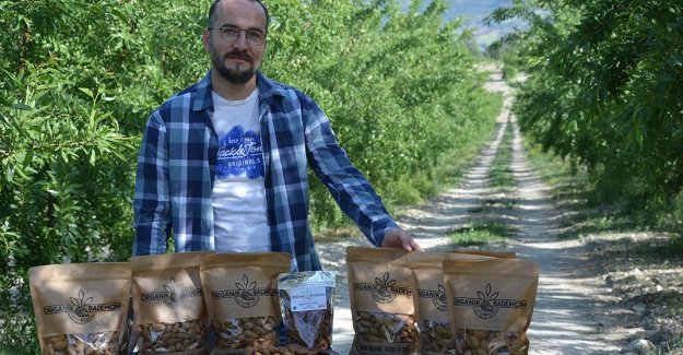 Manisa'da devlet desteğiyle tarlasına badem fidanı diken üretici ihracata başladı