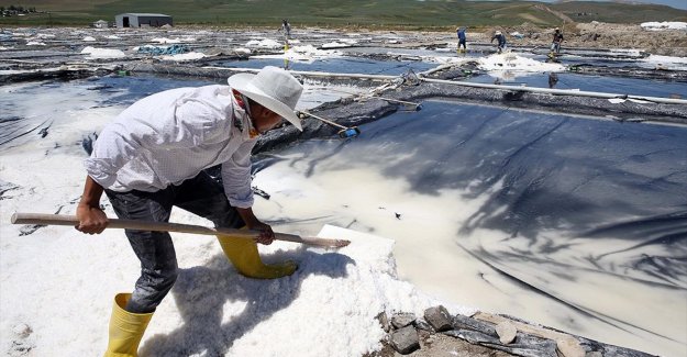 Muş'ta kaynak sularından elde edilen tuz yurdun dört bir yanına gönderiliyor