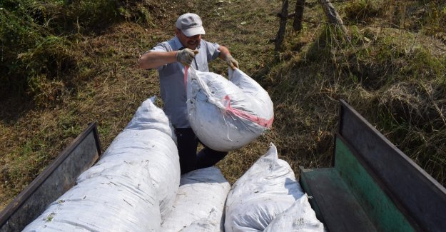 Fındıkta tüketimin artırılmasıyla bu sezon 3 milyar dolarlık rekor ihracat hedefleniyor