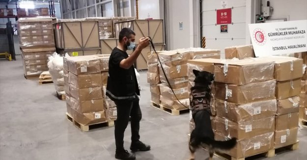 İstanbul Havalimanı'nda başlayan uyuşturucu operasyonu Hollanda'da bitti