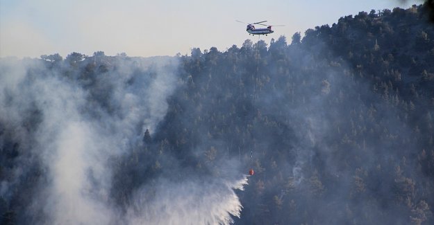 Son 8 günde çıkan 174 yangının 160'ı kontrol alındı, 14'ü devam ediyor