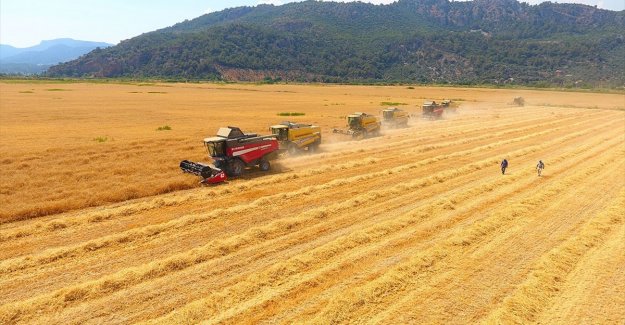 TÜRİB tarımsal ürün endekslerinde işlem hacmi 7,6 milyar lirayı geçti