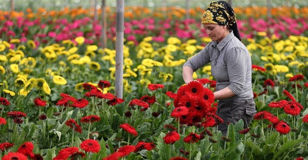Türkiye'nin tarım ihracatı bu yıl aylık bazda 2 milyar doların altına düşmedi