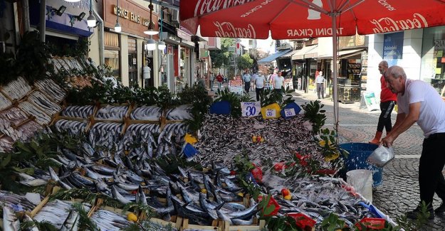 Hamsi ve istavrit bolluğu balıkçı tezgahlarını şenlendiriyor