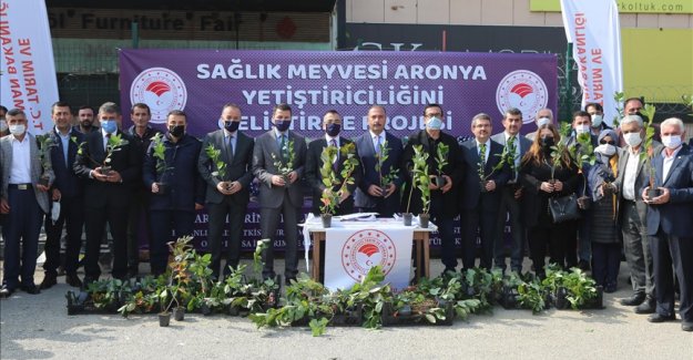 Bursa'nın atıl toprakları 'süper meyve aronya' ile değerlenecek