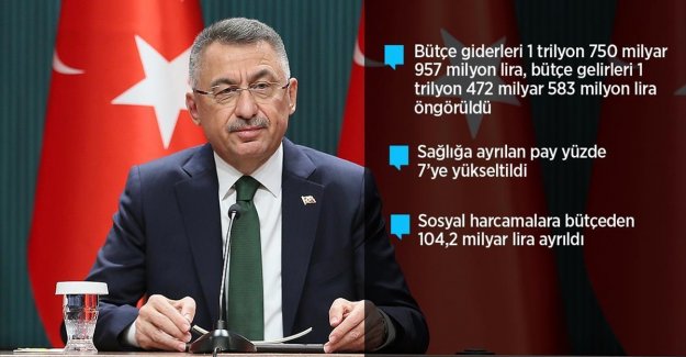 Cumhurbaşkanı Yardımcısı Oktay: 2022 yılı bütçesi yeşil kalkınma devrimi gibi milli hedeflerimizde kilometre taşı olacak