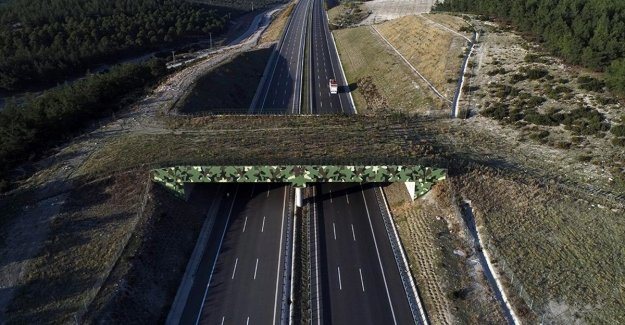 İstanbul-İzmir Otoyolu çevreci özellikleriyle dikkati çekiyor