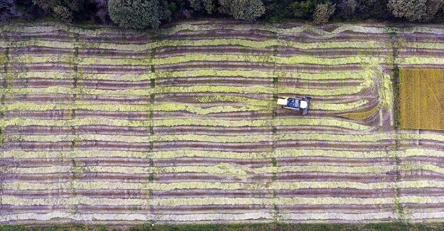 Tarım sektörü, projeler, yeni yatırımlar ve desteklerle büyümeye devam ediyor