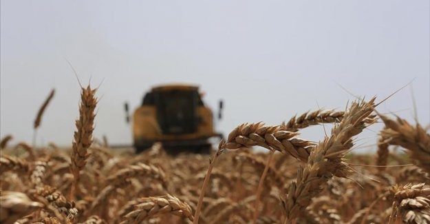 Tarımsal destek ödemelerinden yapılan gelir vergisi kesintilerinin iade şartları belli oldu