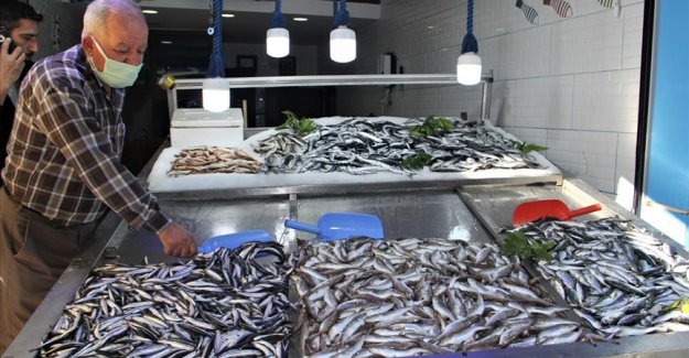 Av miktarındaki düşüş balık fiyatlarını artırıyor