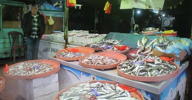 Zonguldak'ta fırtınada balıkçılar denize çıkamayınca balık fiyatları arttı