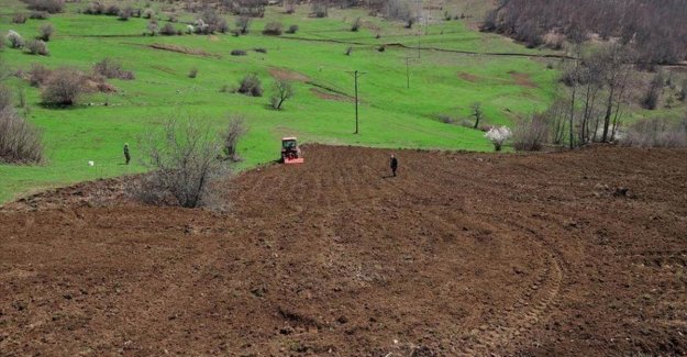 Ordu'da 3 yılda 17 bin 500 dönüm arazi tarıma kazandırıldı