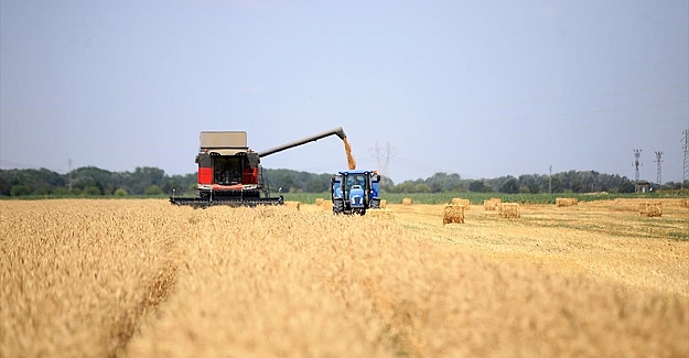 Trakya'da sertifikalı buğday tohumu verimiyle öne çıkıyor