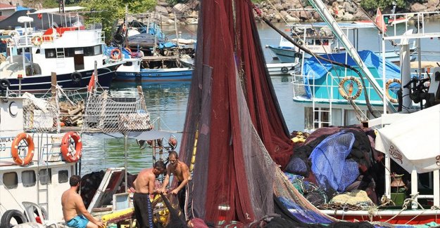 Düzce ve Kocaeli'de balıkçılar 'vira bismillah' demek için gün sayıyor