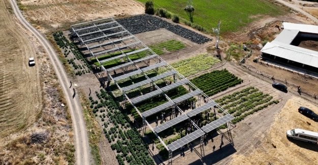 Türkiye'nin ilk güneş takip sistemli tarım GES'i açıldı