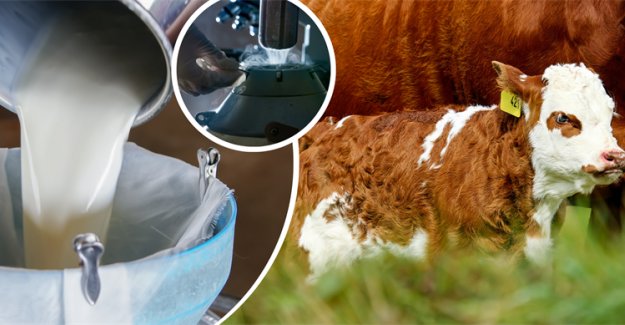 4 MİLYAR 435 MİLYON LİRALIK DESTEKLEME ÖDEMESİ BUGÜN HESAPLARA AKTARILIYOR