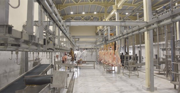 Tarim Ve Orman Bakanliğindan Kurban Bayrami Öncesi̇ Kesi̇mhane Deneti̇mi̇