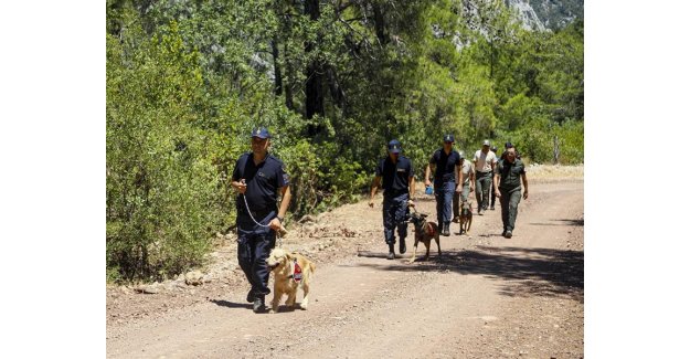 Antalya’da Orman Yangınlarına Karşı Jandarma Komandoları Sahaya İndi