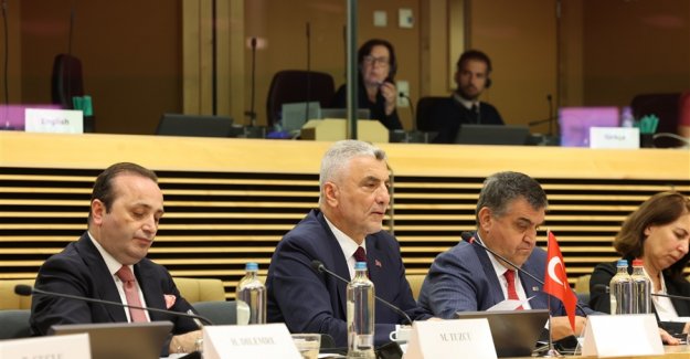 Türkiye-AB Yüksek Düzeyli Ticaret Diyaloğu Devam Edecek