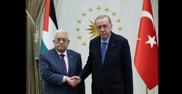 Cumhurbaşkanı Erdoğan, Filistin Devlet Başkanı Abbas ile bir araya geldi